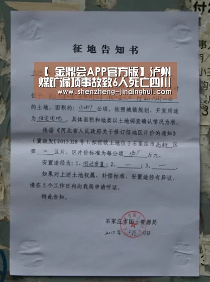  金鼎会APP官方版